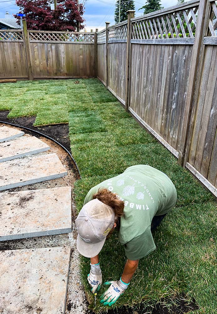 Laying Down Fresh Sod for a Valued Client