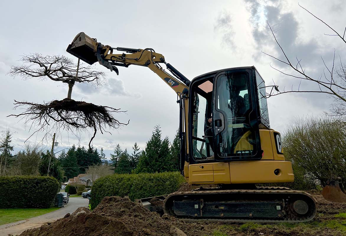 Stump Removal  Timberstone Landscaping